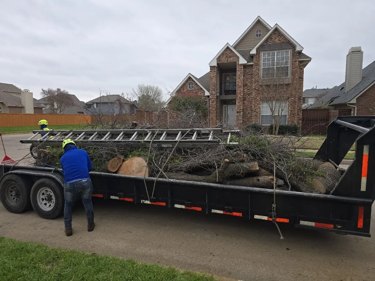 Expert Tree Fertilization with proper safety equipment in Wharton